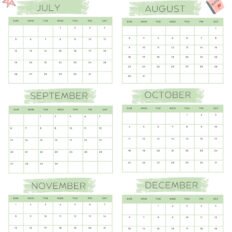 Beautiful 2026 six Month Calendar S2 1