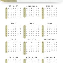 Simple white Green 2026 Yearly Calendar with sunday highlight